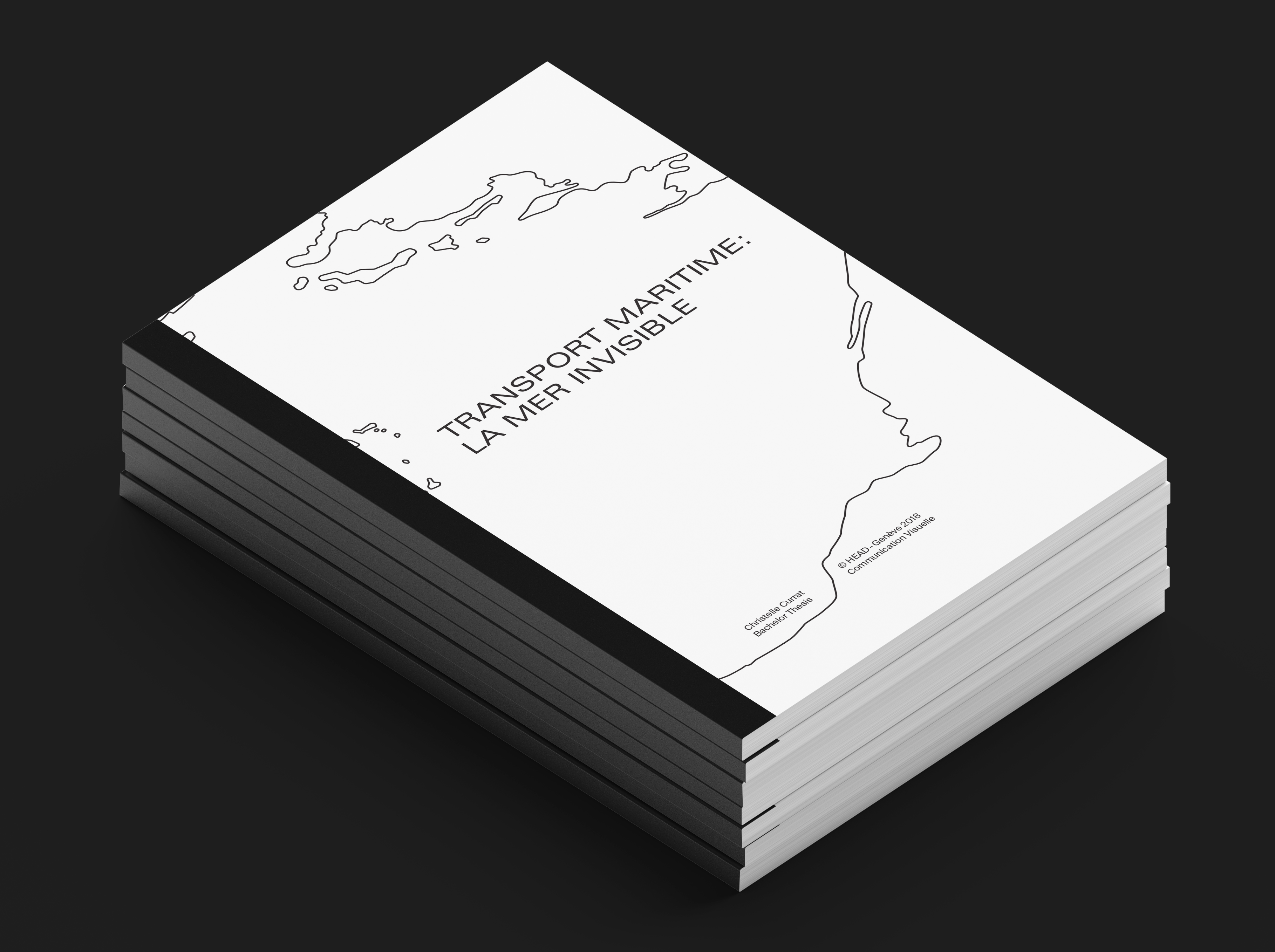 Bachelor Thesis