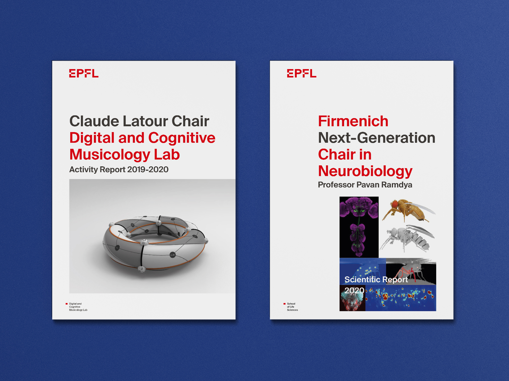 Rapports d'activité EPFL